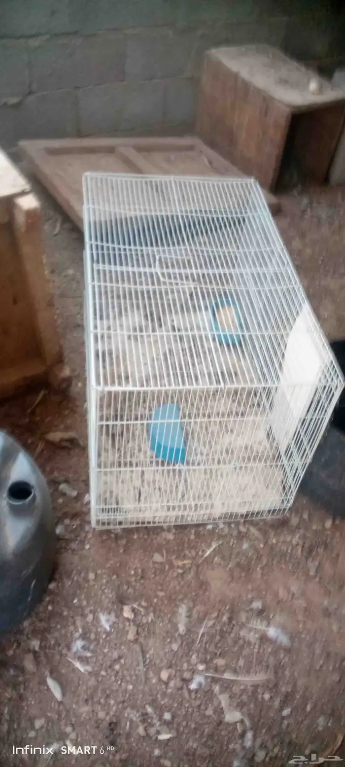 القفص5 2