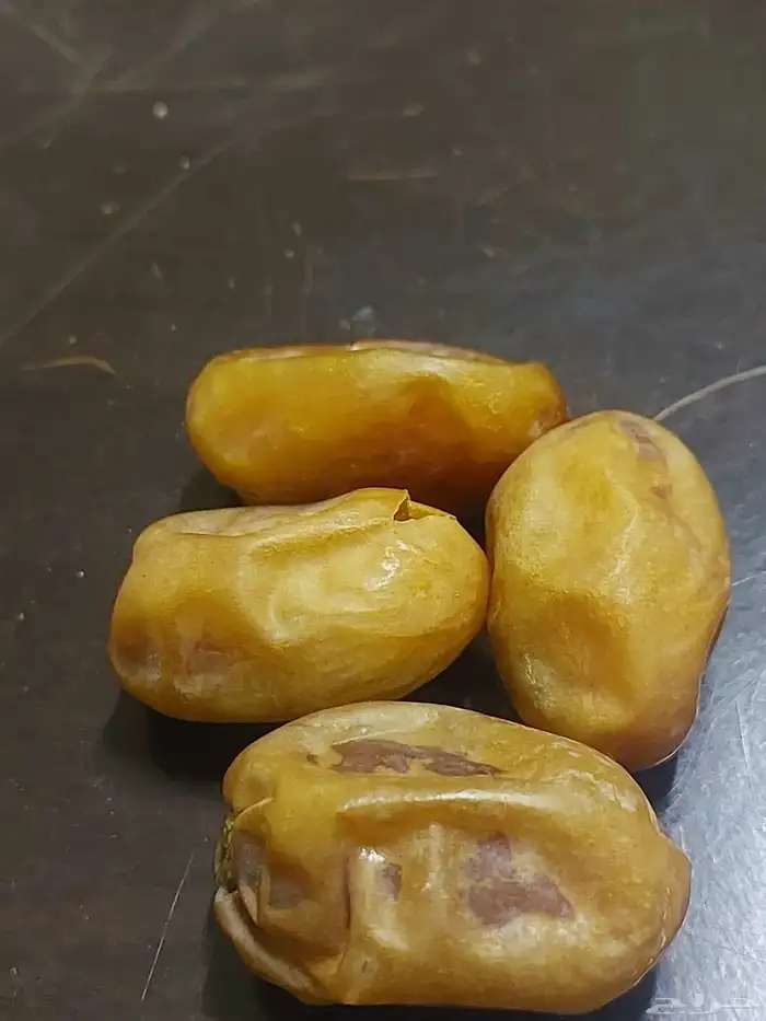 يتوفر كميه اخلاص طيب 0