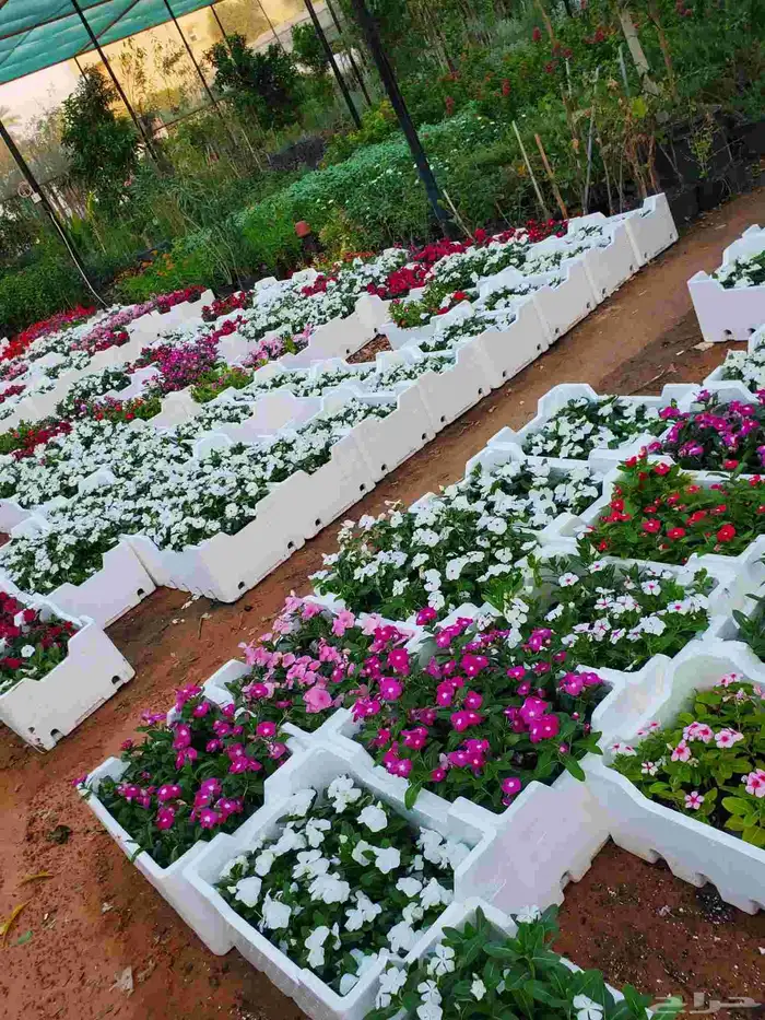 مشتل زراعي 3