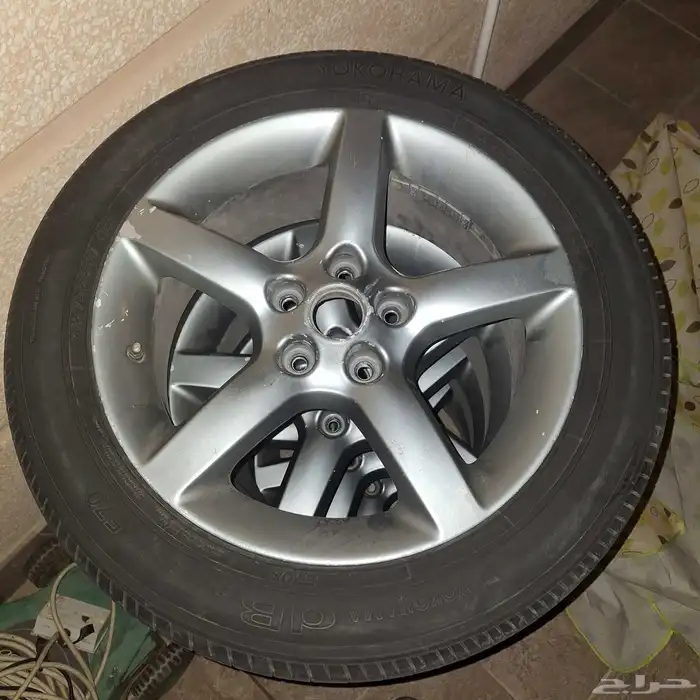 جنوط التيما 2