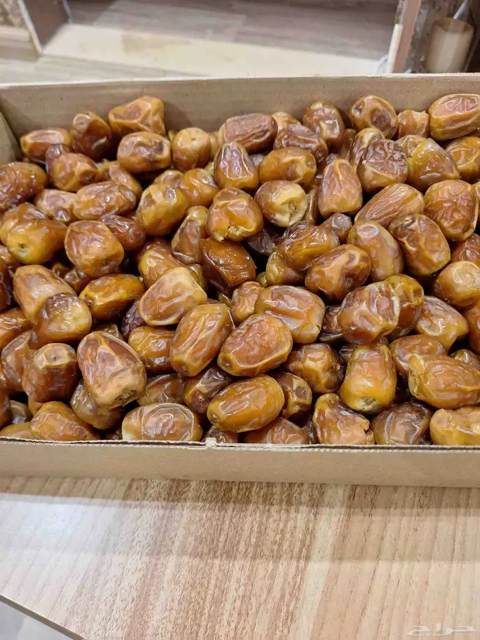 بلح برحي وتمر سكري 1