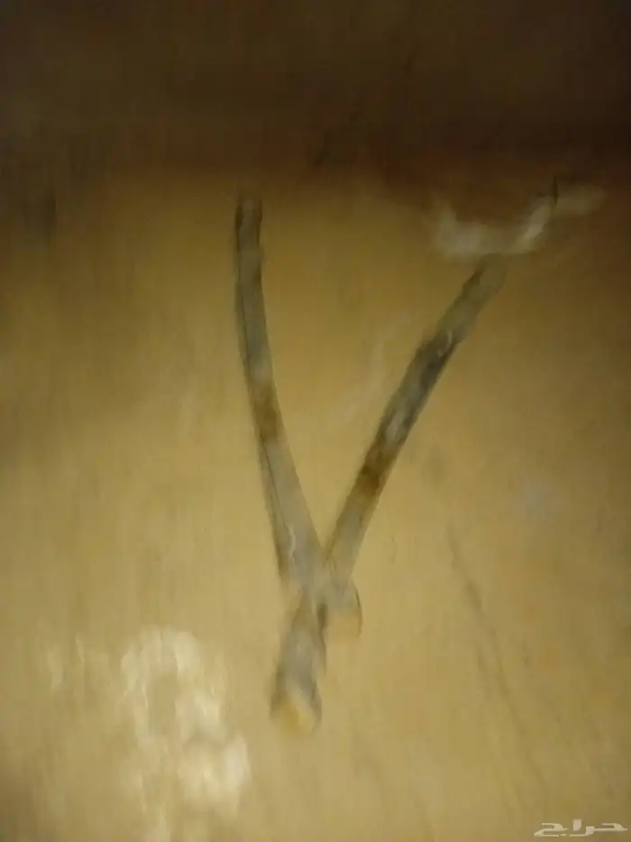 سست ددسن 2011 وكاله 0
