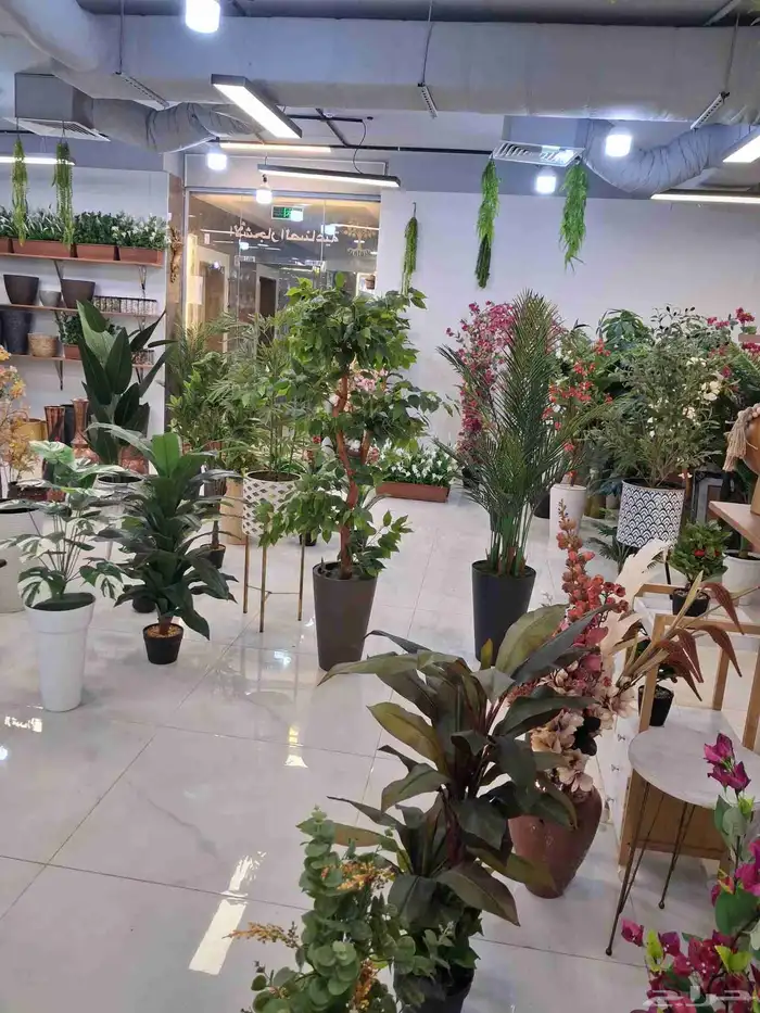 الأشجار الصناعيه جده الهنداوية ج 05458 0367 0