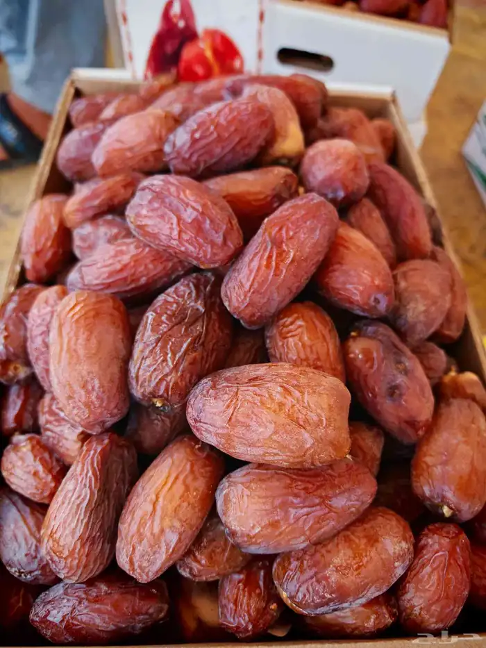 سكري القصيم وتوصيل مجاني 1