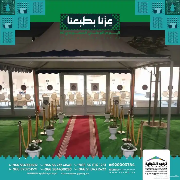 اضاءة اليوم الوطني السعودي 95 16