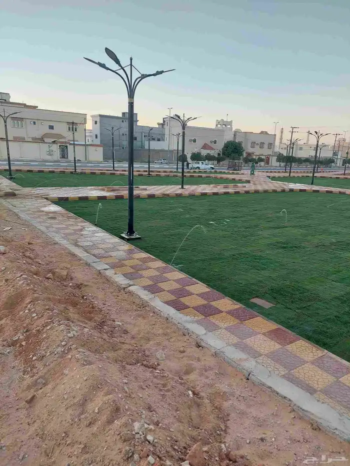 مشتل الياسمين لبيع جميع الشتلات والزهور وتنسيق الحدائق 9