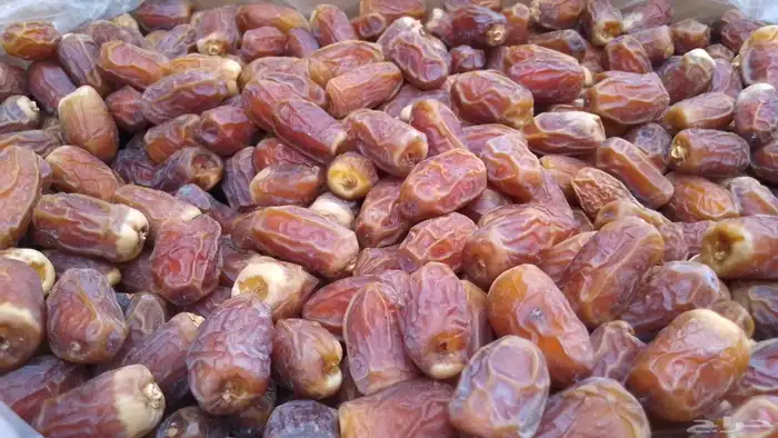 صقعي رقم واحد قشر ومبروم 1