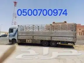 لوري مسكس سكس عشرة متر نقل داخل وخارج السعوديه 0