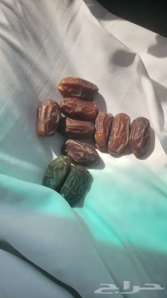 خضري خاخر 1