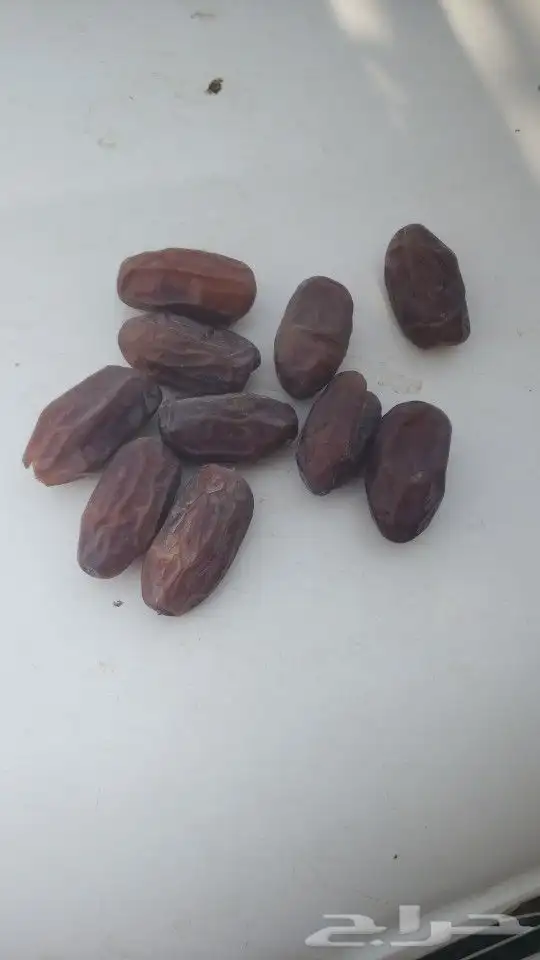 خضري خاخر 4