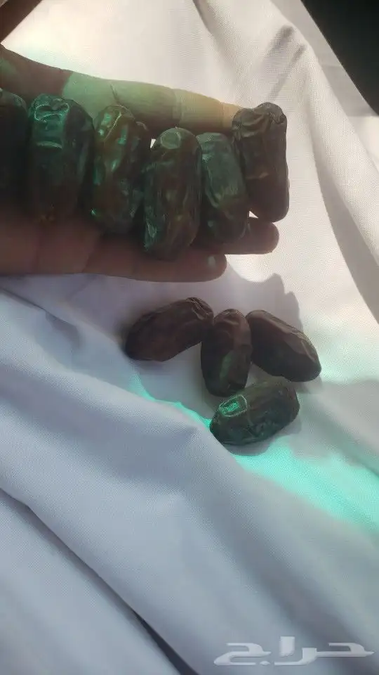 خضري خاخر 3