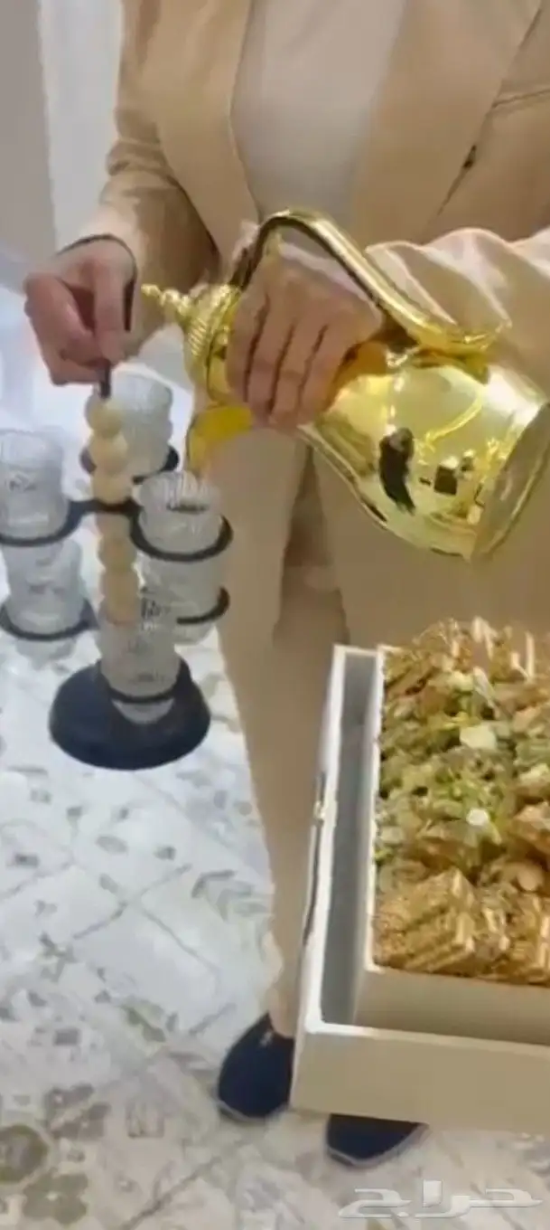 ضيافه وديجي لميس الطائف 7