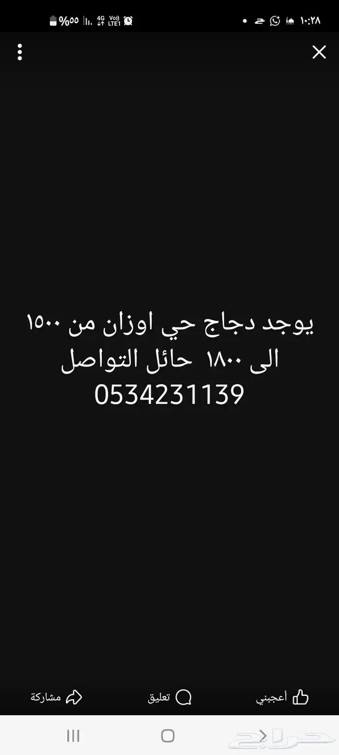 يوجد دجاج حي وزن من 1500 الى 1800 في حايل الصحة ممتازة والجو 0