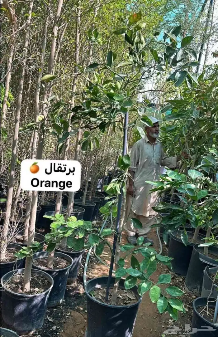 مشتل زراعي 9