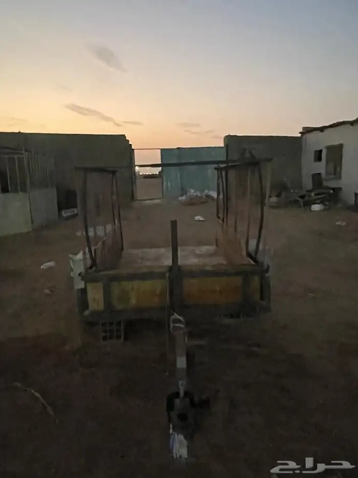 قلص للبيع سليم من جميع العذاريب 6