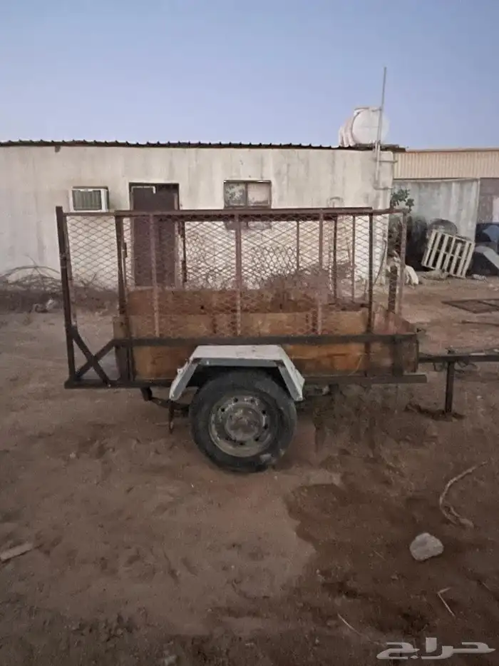 قلص للبيع سليم من جميع العذاريب 7