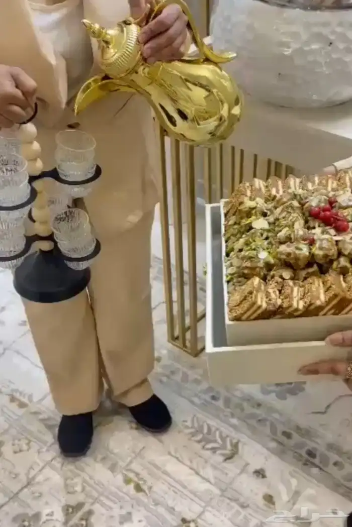 ضيافه وديجي لميس الطائف 8