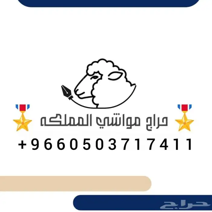 ترسلي عرض ماعز او اغنام انتله في قروب في 350 عضو 0