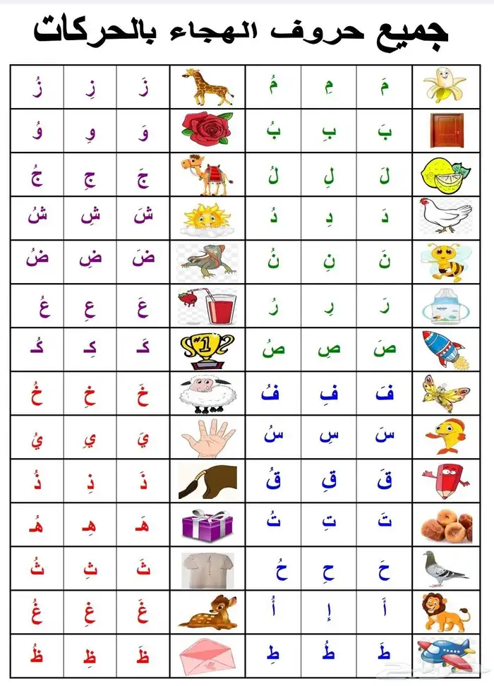 معلم تأسيس ومتابعة ابتدائي ومتوسط 1