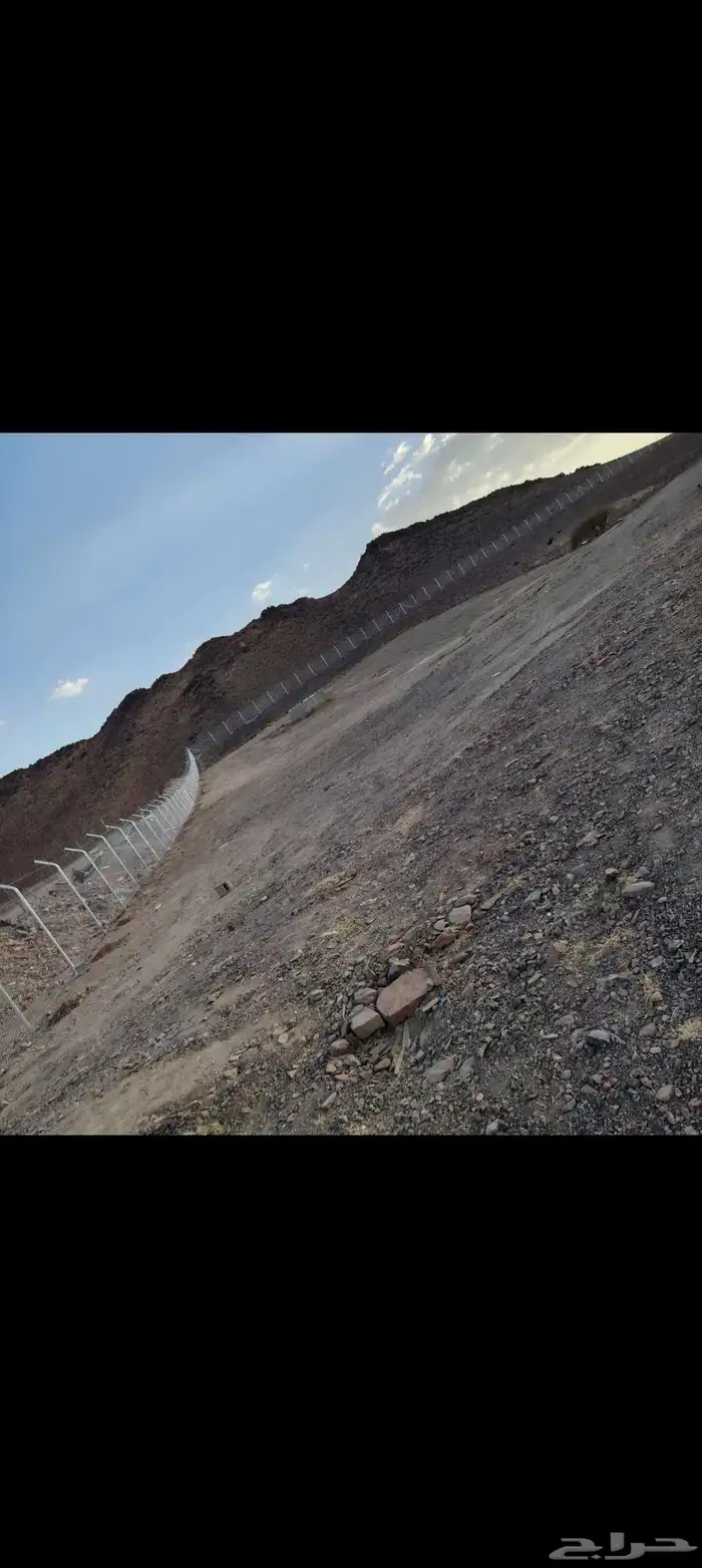 شبوك مزارع الشرقيه الاحساء جوال 5