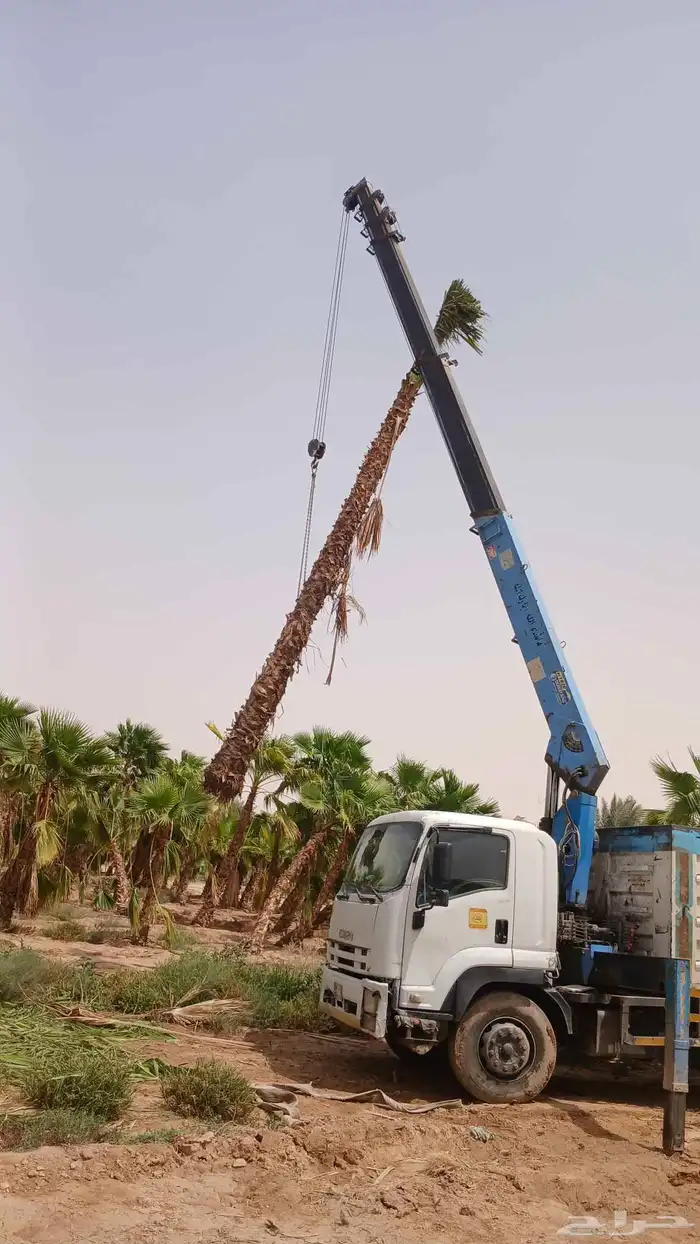توريدوتركيب الشبوك 2