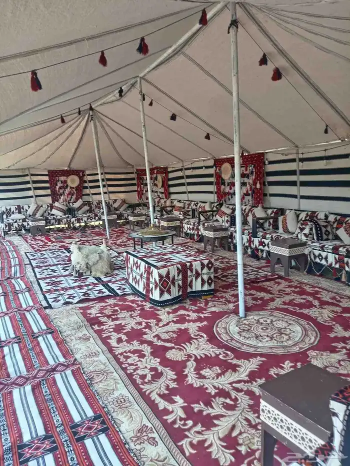 تأجير جلسات ارضيه طاولات طعام كراسي 4