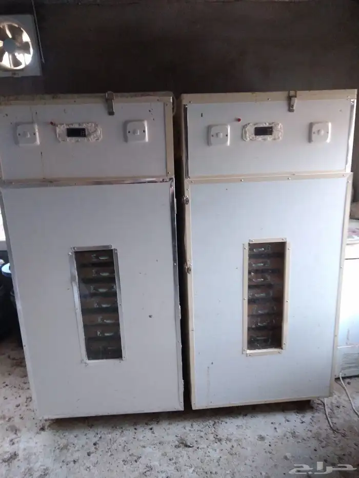 فقاستين يدوية حجم 3000 بيضة ب 2500 ريال الكل جملة ممتازة جدا 6