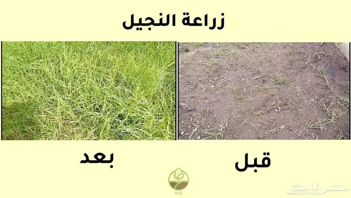 تزيين... زراعه ...تقطيع اشجار ..زراعه نجنيل..ظافه ..تكسير . 4