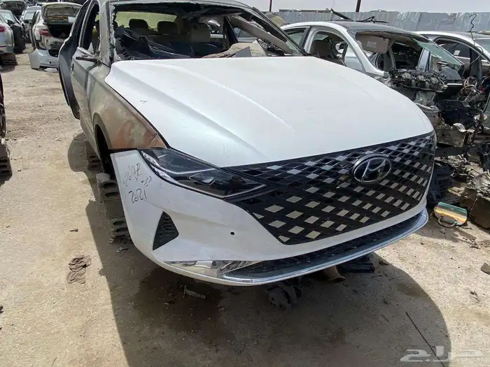 الجنسس والهولندي من 15الى 25 2
