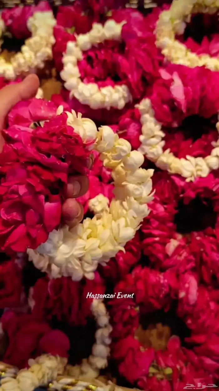 فل_الرياض  تصميم حسب الطلب   عقود كباشه تساريح تي 4