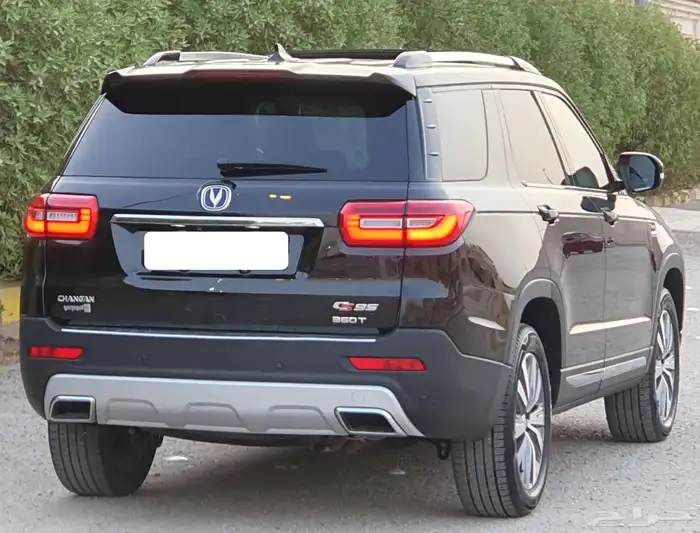شانجان 2019 1