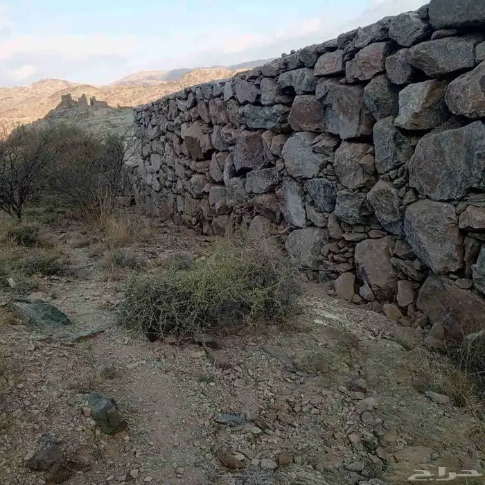 معلم حجر صغير وكبير ورباريب في الباحه 5