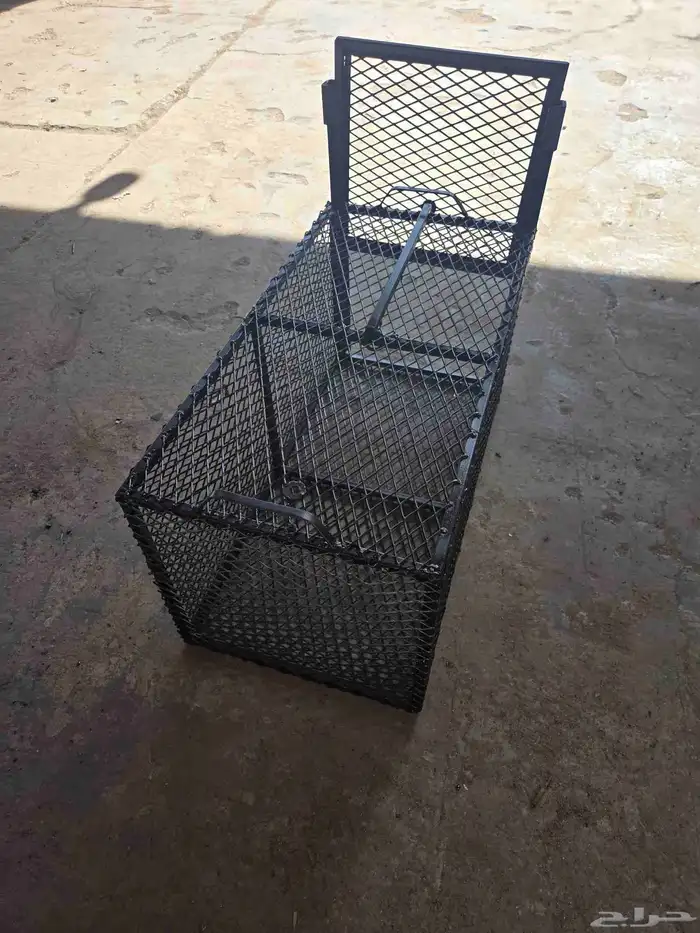مصيدة قطط 3