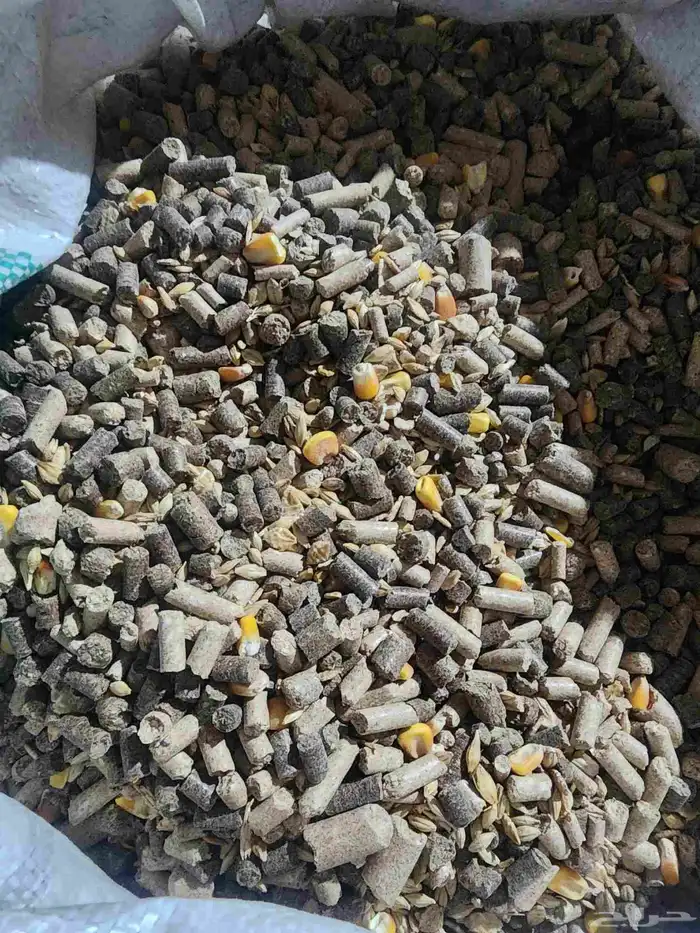 مشكل تربيه لجميع انواع الحلال 0