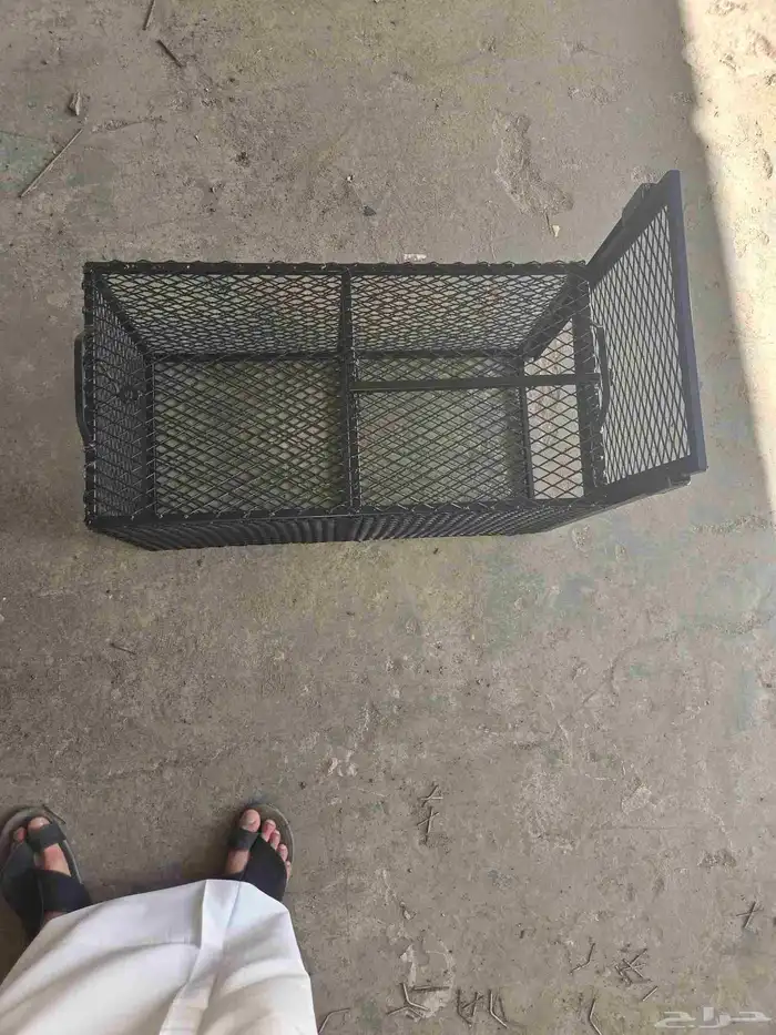 مصيدة قطط 5