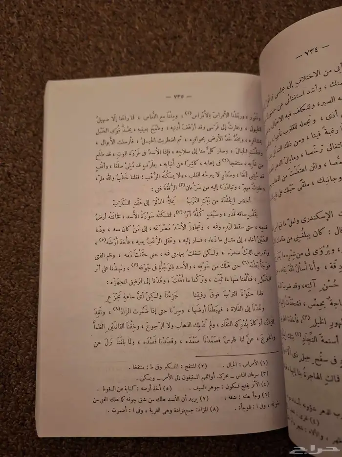 زهر الاداب وثمر الالباب 18