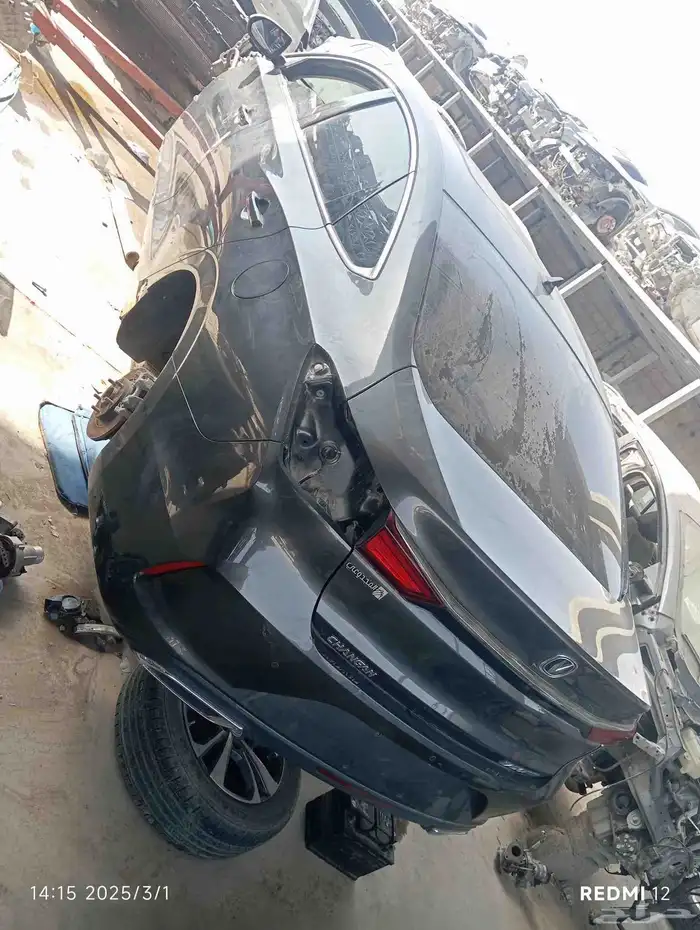 شانجان ايدو بلس 2023 1