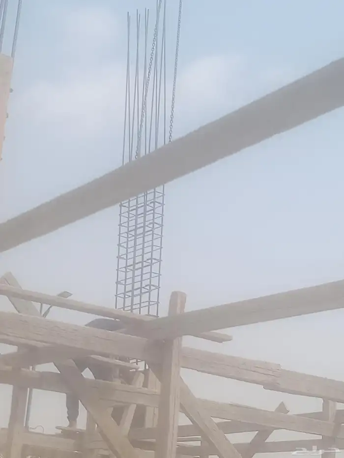 نجار مسلح موجود في الليث 2