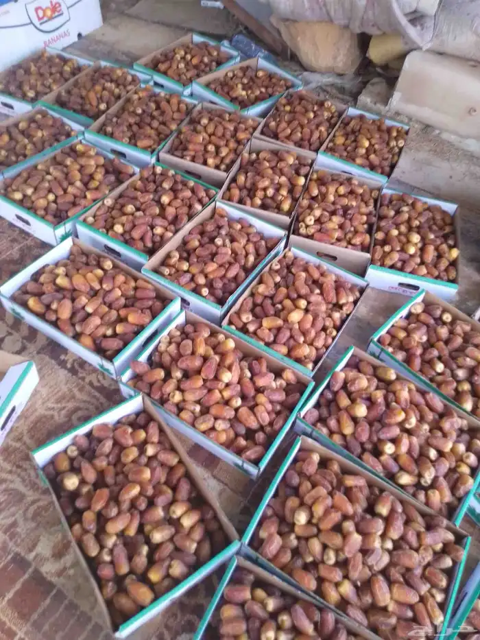يوجد رطب صقعي حق هذا سنه 1
