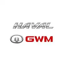 مختص هافال الصيني 0