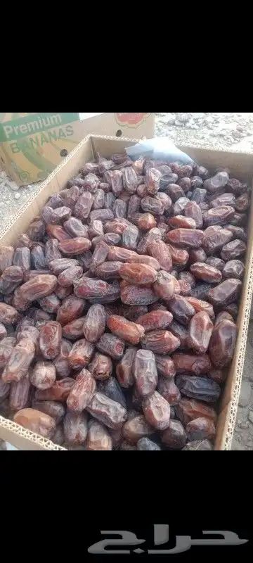 خضري فاخر 0
