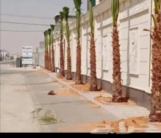 الرياض المزحميه تبرك الجله القويعيه الدوادمي ساجر شقر البجاد 0