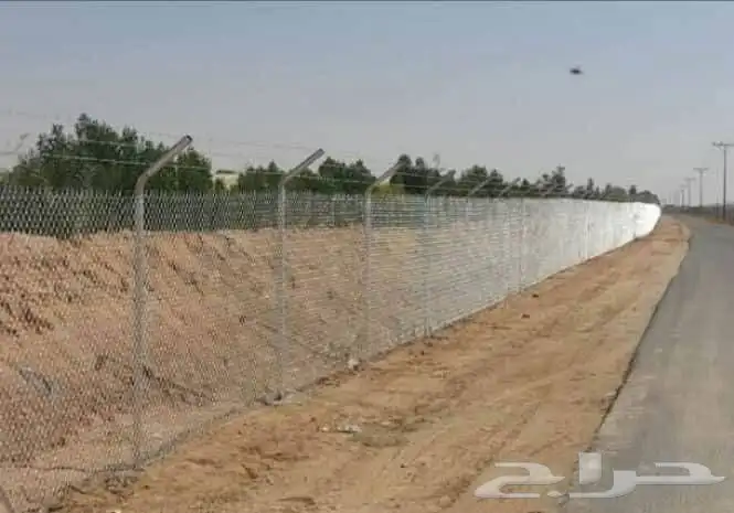 توريدوتركيب الشبوك 6