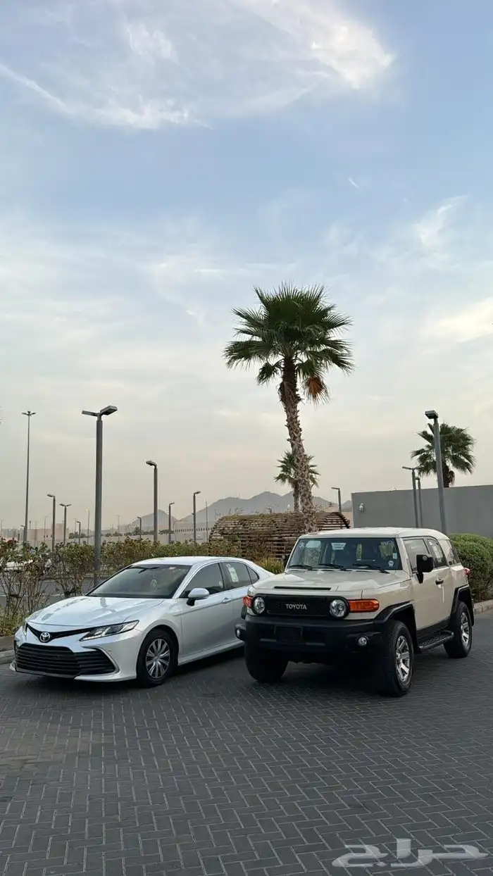 جيب اف جي2020 لون بيج 4