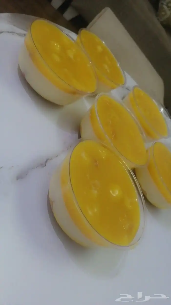 حلا ترافيل مانجو وتراميسو توت للكفيهات والجمعات العائليه 2