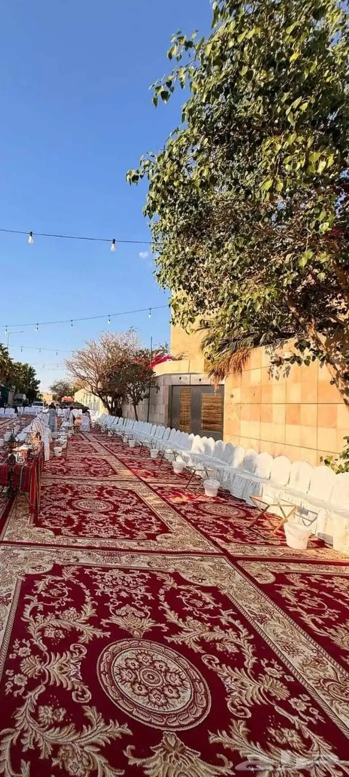 تاجير كنب 6
