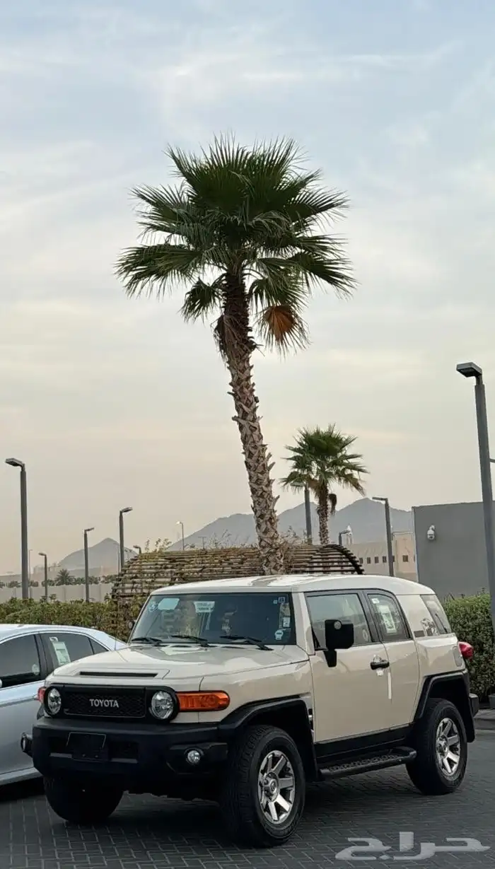 جيب اف جي2020 لون بيج 3