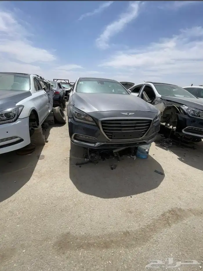 الجنسس والهولندي من 15الى 25 6