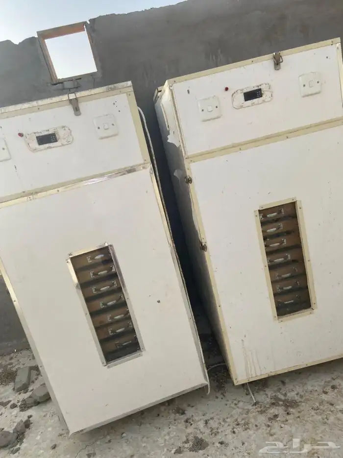 فقاستين يدوية حجم 3000 بيضة ب 2500 ريال الكل جملة ممتازة جدا 4