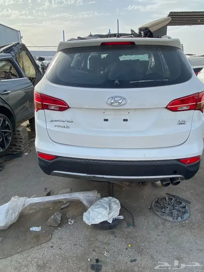 الجنسس والهولندي من 15الى 25 8